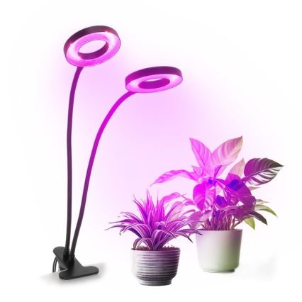 LED Димируем гъвкав настолна лампа с щипка за отглеждане на растения VITARO 2xLED/4W/230V черен