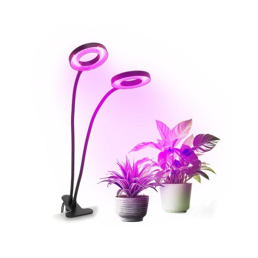 LED Димируем гъвкав настолна лампа с щипка за отглеждане на растения VITARO 2xLED/4W/230V черен
