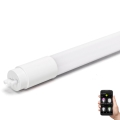 LED Димируем флуоресцентен тръба MESH Smart T8/10W/230V 6500K 60 см - Aigostar
