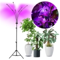 LED Димируем гъвкав лампион за отглеждане на растения VITARO 4xLED/7,5W/230V черен