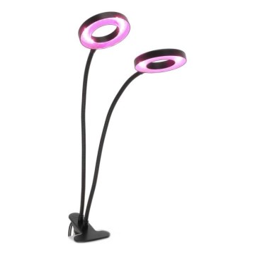 LED Димируем гъвкав настолна лампа с щипка за отглеждане на растения VITARO 2xLED/4W/230V черен