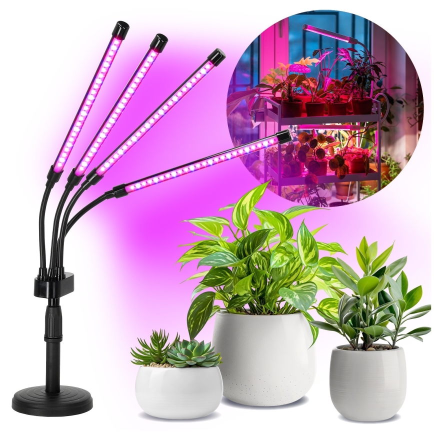 LED Димируем гъвкав настолна лампа за отглеждане на растения VITARO 4xLED/10W/230V черен