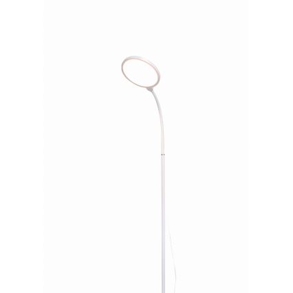 LED Димируем лампион 2в1 LED/10W/230V бял