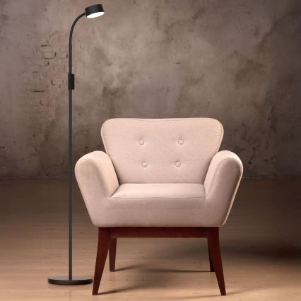 LED Димируем сензорен лампион BRUNO LED/3W/230V 3000/4000/6500K черен