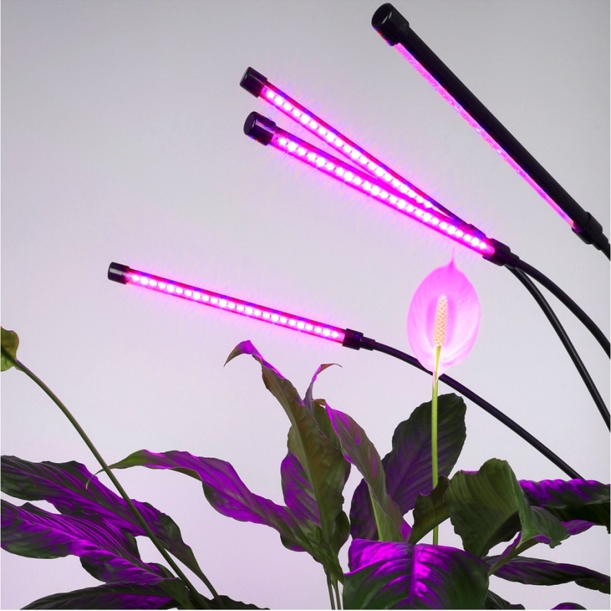 LED Димируем гъвкав лампион за отглеждане на растения VITARO 4xLED/7,5W/230V черен