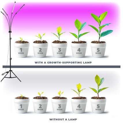 LED Димируем гъвкав лампион за отглеждане на растения VITARO 4xLED/7,5W/230V черен