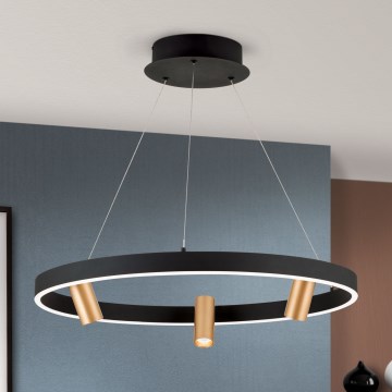 LED Димируем пендел BERLIN LED/50W/230V черен/златист