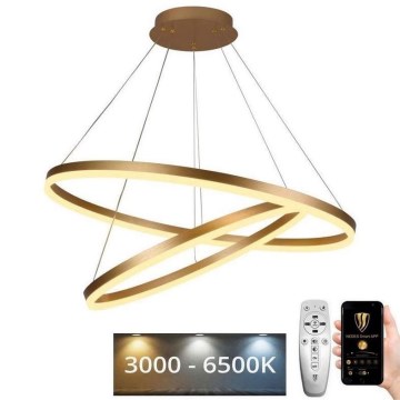 LED Димируем пендел LED/100W/230V 3000-6500K + дистанционно управление