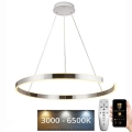 LED Димируем пендел LED/100W/230V 3000-6500K + дистанционно управление