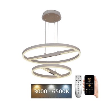 LED Димируем пендел LED/100W/230V 3000-6500K + дистанционно управление
