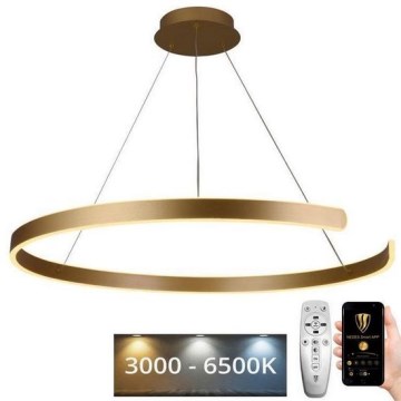 LED Димируем пендел LED/100W/230V 3000-6500K Ø 80 см + дистанционно управление