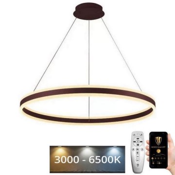 LED Димируем пендел LED/110W/230V 3000-6500K + дистанционно управление