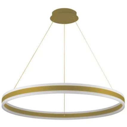 LED Димируем пендел LED/110W/230V 3000-6500K + дистанционно управление