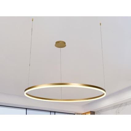 LED Димируем пендел LED/55W/230V 3000-6500K + дистанционно управление