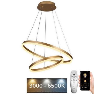 LED Димируем пендел LED/70W/230V 3000-6500K + дистанционно управление