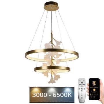 LED Димируем пендел LED/70W/230V 3000-6500K + дистанционно управление