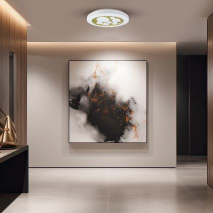 LED Димируем плафон BUBBLES LED/30W/230V 3000-6000K + дистанционно управление