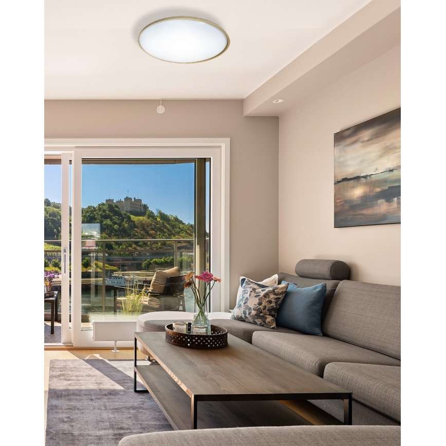 LED Димируем плафон DRINA LED/36W/230V 2700-6500K Ø 50 см + дистанционно управление