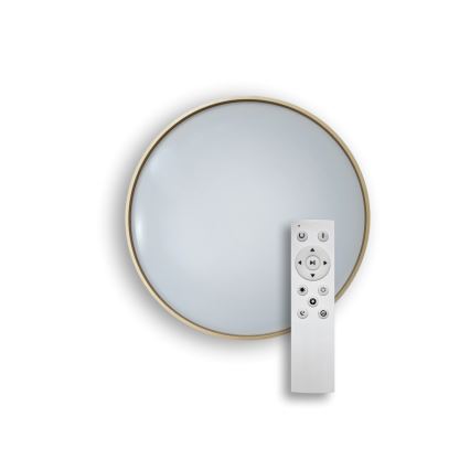 LED Димируем плафон DRINA LED/36W/230V 2700-6500K Ø 50 см + дистанционно управление