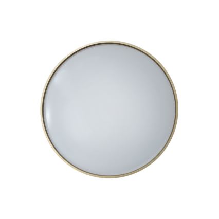 LED Димируем плафон DRINA LED/36W/230V 2700-6500K Ø 50 см + дистанционно управление