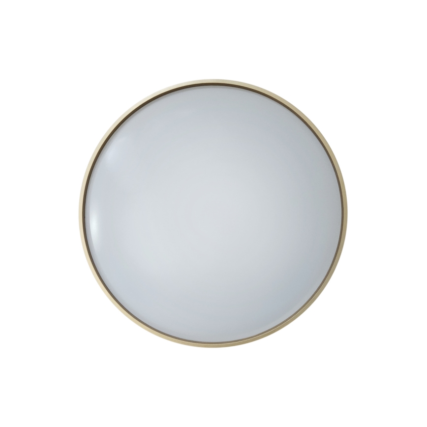 LED Димируем плафон DRINA LED/36W/230V 2700-6500K Ø 50 см + дистанционно управление