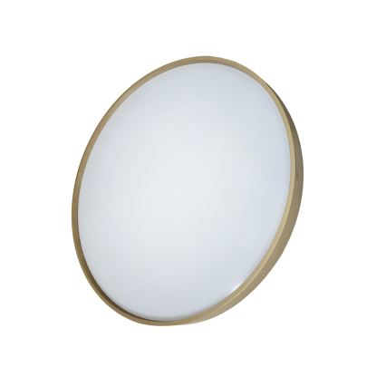 LED Димируем плафон DRINA LED/36W/230V 2700-6500K Ø 50 см + дистанционно управление