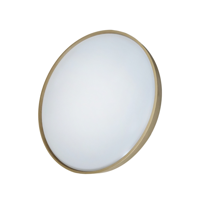 LED Димируем плафон DRINA LED/36W/230V 2700-6500K Ø 50 см + дистанционно управление