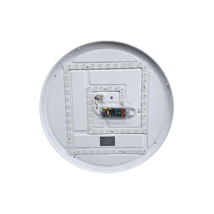 LED Димируем плафон EBRO LED/36W/230V 2700-6500K Ø 50 см + дистанционно управление