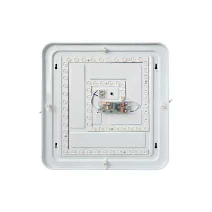 LED Димируем плафон FLORA LED/36W/230V 2700-6500K 43x43 см + дистанционно управление