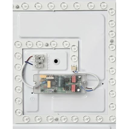 LED Димируем плафон FLORA LED/36W/230V 2700-6500K 43x43 см + дистанционно управление