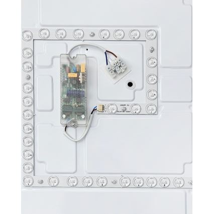 LED Димируем плафон FLORA LED/60W/230V 2700-6500K 53x53 см + дистанционно управление