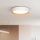 LED Димируем плафон LARIOS LED/48W/230V 3000-6500K Ø 39 см бял + дистанционно управление