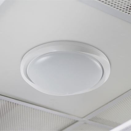 LED Димируем плафон LED/60W/230V 3000-6500K 49,2 см бял + дистанционно управление