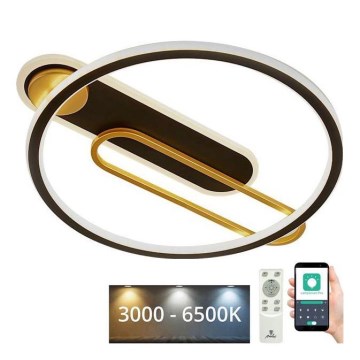 LED Димируем плафон LED/60W/230V 3000-6500K черен + дистанционно управление