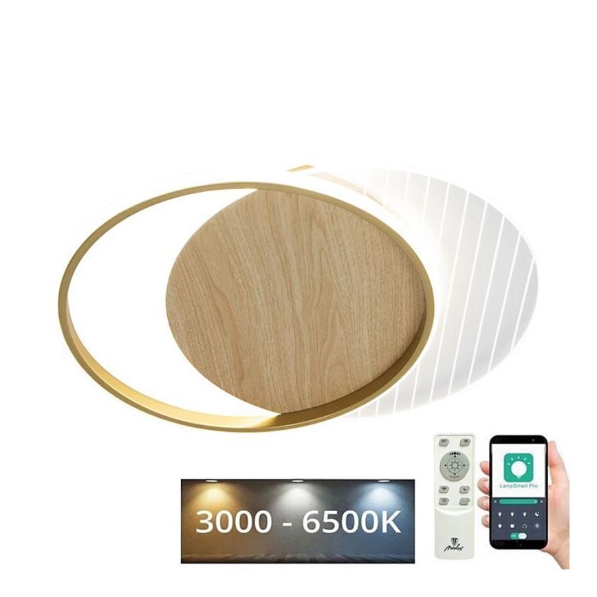 LED Димируем плафон LED/60W/230V 3000-6500K + дистанционно управление