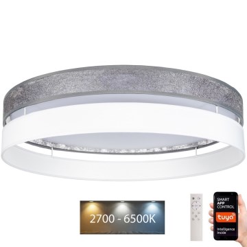LED Димируем плафон LIMA LED/36W/230V 2700-6500K Wi-Fi Tuya + дистанционно сребрист/бял