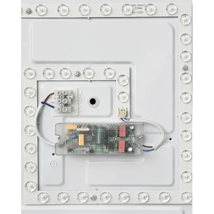 LED Димируем плафон NERIS LED/36W/230V 2700-6500K 43x43 см + дистанционно управление