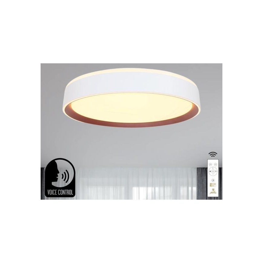 LED Димируем плафон с гласово управление OPAL LED/48W/230V 2700-6500K бял + дистанционно управление