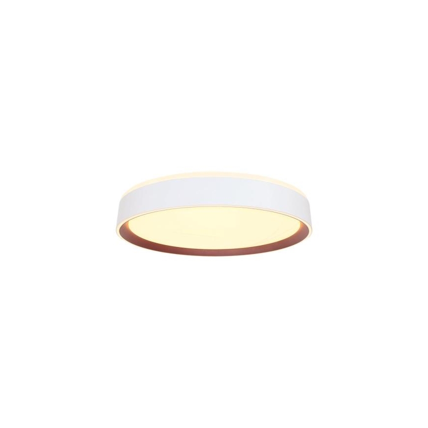 LED Димируем плафон с гласово управление OPAL LED/48W/230V 2700-6500K бял + дистанционно управление
