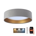 LED Димируем плафон SMART GALAXY LED/24W/230V Ø 45 см 2700-6500K Wi-Fi Tuya сив/златист + дистанционно