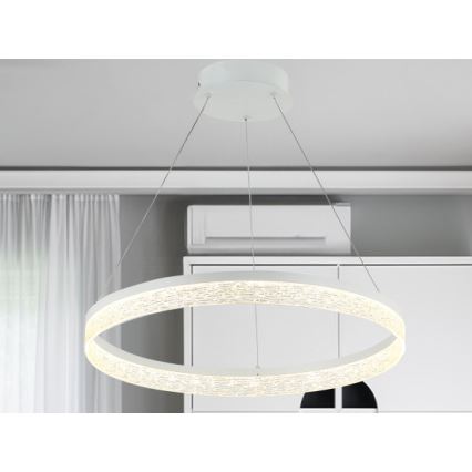 LED полилей на кабел ALIANZ с възможност за димиране LED/60W/230V 3000-6000K Ø 80 см + дистанционно управление