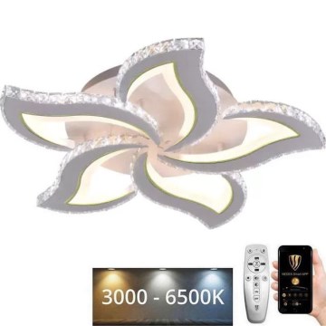 LED Димируем полилей за повърхностен монтаж LED/100W/230V 3000-6500K + дистанционно управление