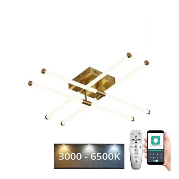 LED Димируем полилей за повърхностен монтаж LED/30W/230V 3000-6500K + дистанционно управление