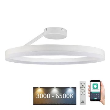 LED Димируем полилей за повърхностен монтаж LED/40W/230V 3000-6500K бял + дистанционно управление