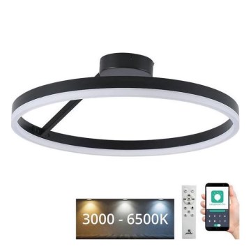 LED Димируем полилей за повърхностен монтаж LED/40W/230V 3000-6500K черен + дистанционно управление