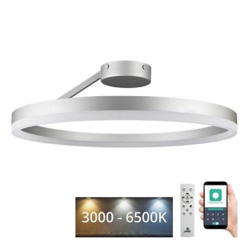 LED Димируем полилей за повърхностен монтаж LED/40W/230V 3000-6500K матов хром + дистанционно управление