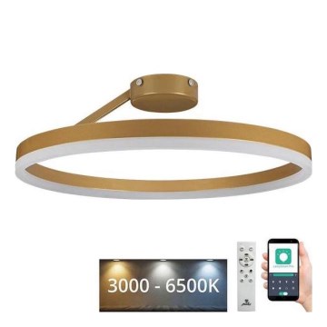 LED Димируем полилей за повърхностен монтаж LED/40W/230V 3000-6500K златист + дистанционно управление