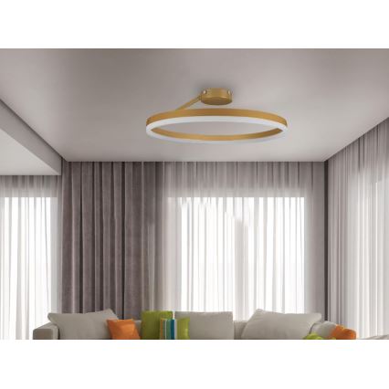 LED Димируем полилей за повърхностен монтаж LED/40W/230V 3000-6500K златист + дистанционно управление