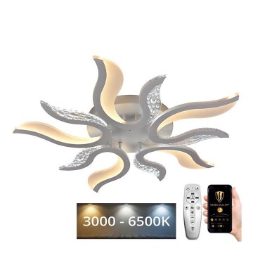 LED Димируем полилей за повърхностен монтаж LED/65W/230V 3000-6500K бял + дистанционно управление