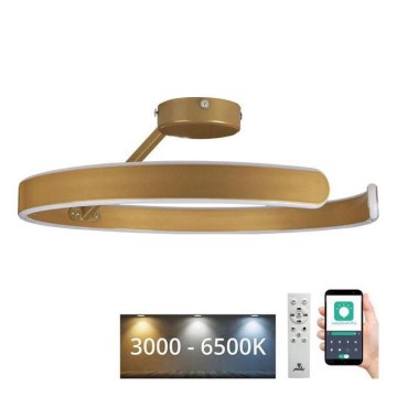 LED Димируем полилей за повърхностен монтаж LED/72W/230V 3000-6500K златист + дистанционно управление
